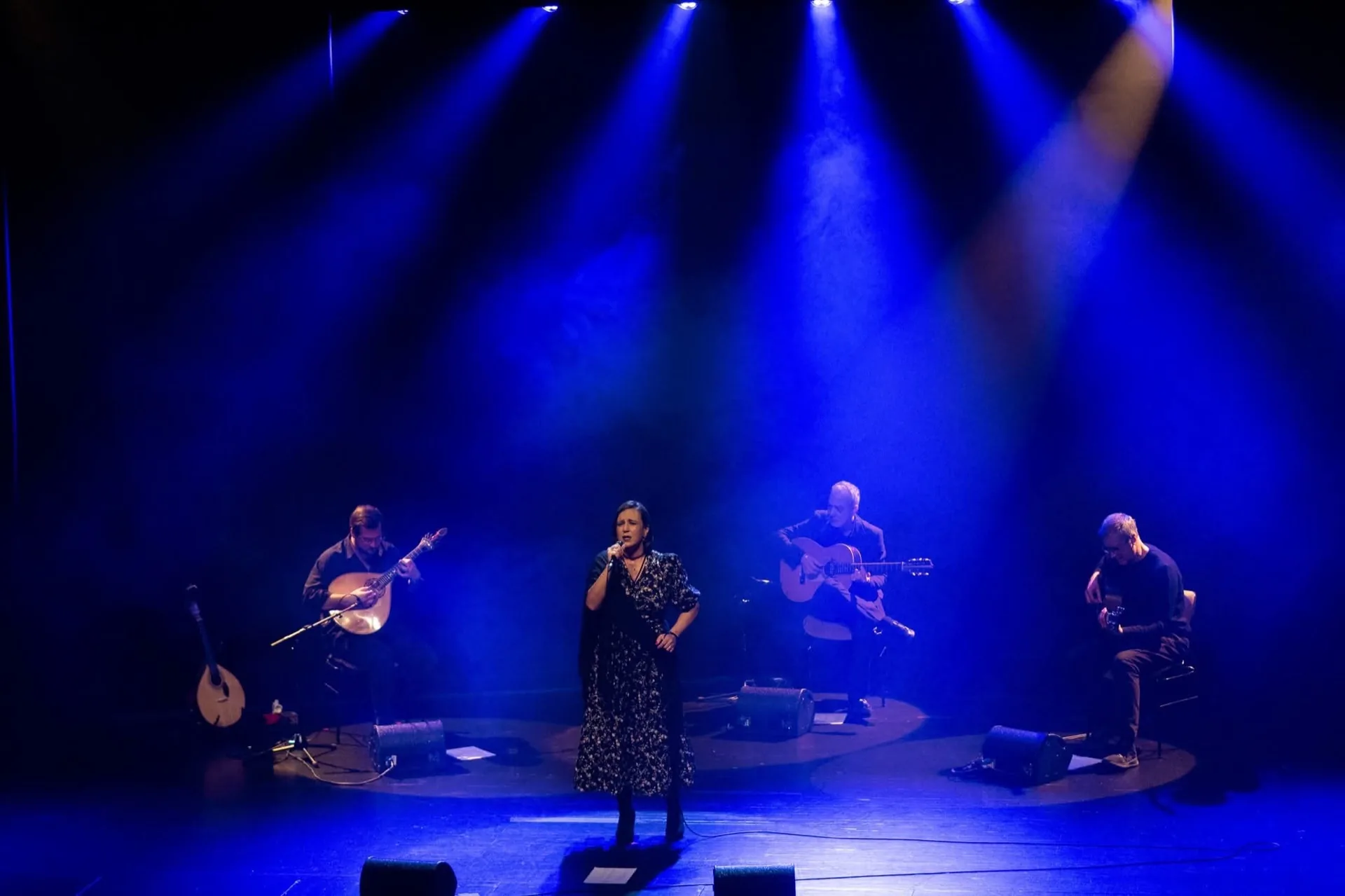 Vanessa Alves, momento de concerto.